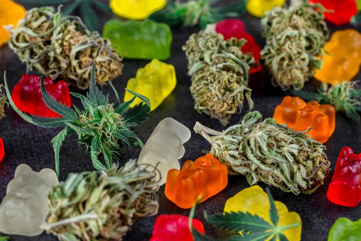 Dried cannabis buds and colorful gummy bears scattered on a dark, textured surface.