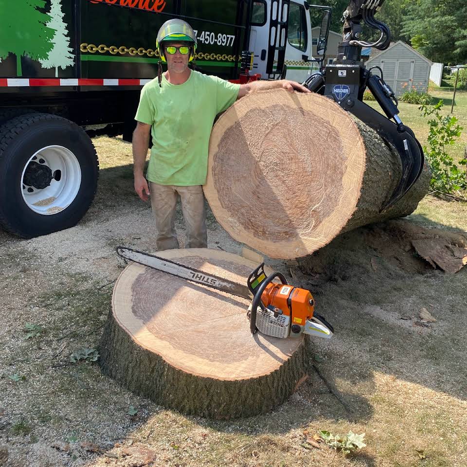 Trees Removal — Lebanon, PA — Umbergers Tree Service