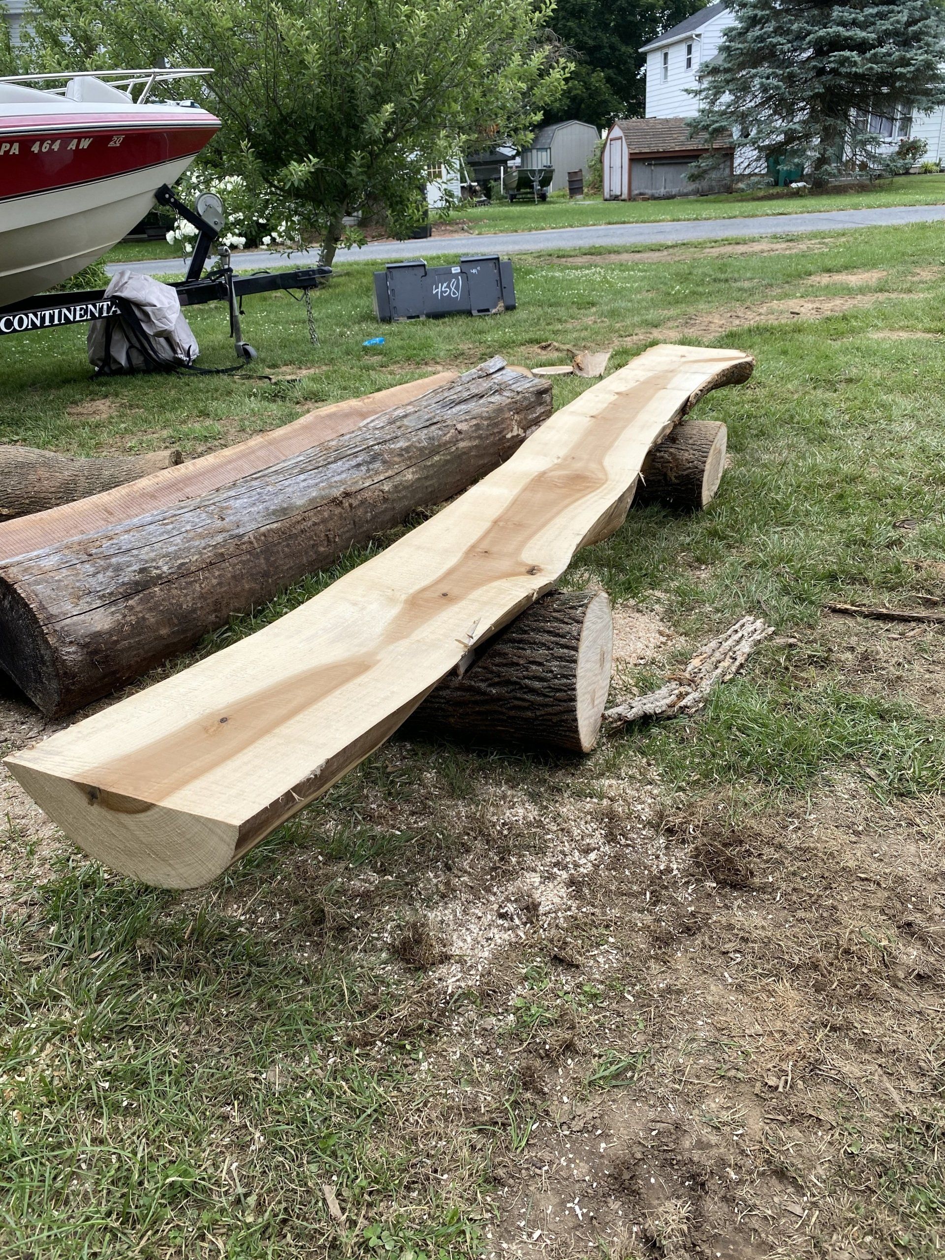 Tree Cut In Half — Lebanon, PA — Umbergers Tree Service