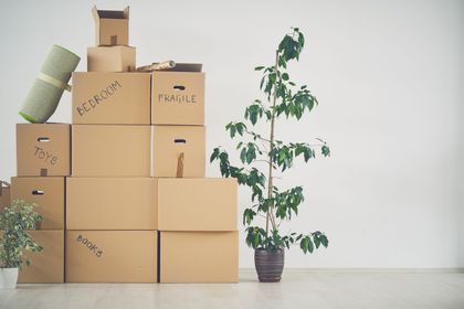 A stack of cardboard boxes sitting next to a potted plant.