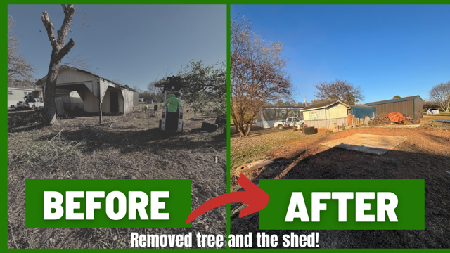 Before and after comparison showing a yard after the removal of a large tree and a shed.
