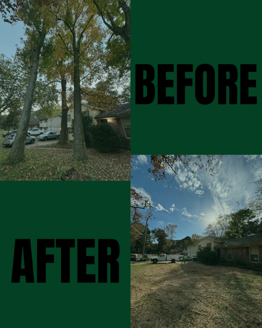 Before and after photos showing a front yard cleared of two large trees, revealing the house and bright sky.