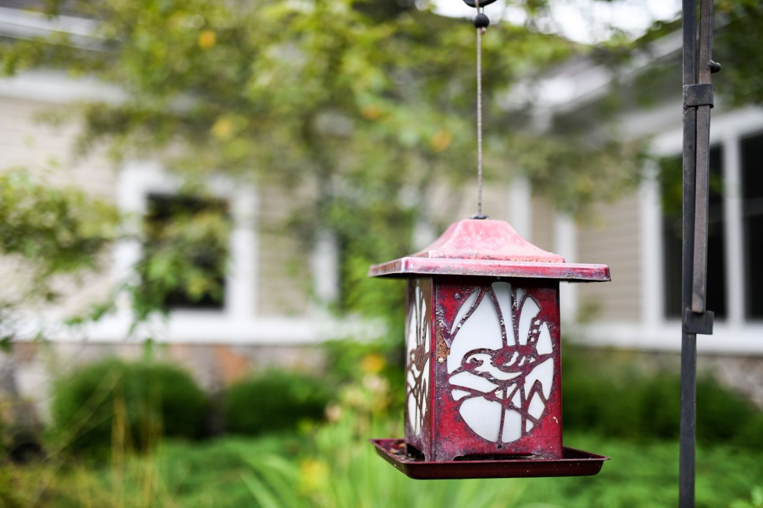Outdoor garden lantern surrounded by greenery at Watson Assisted Living