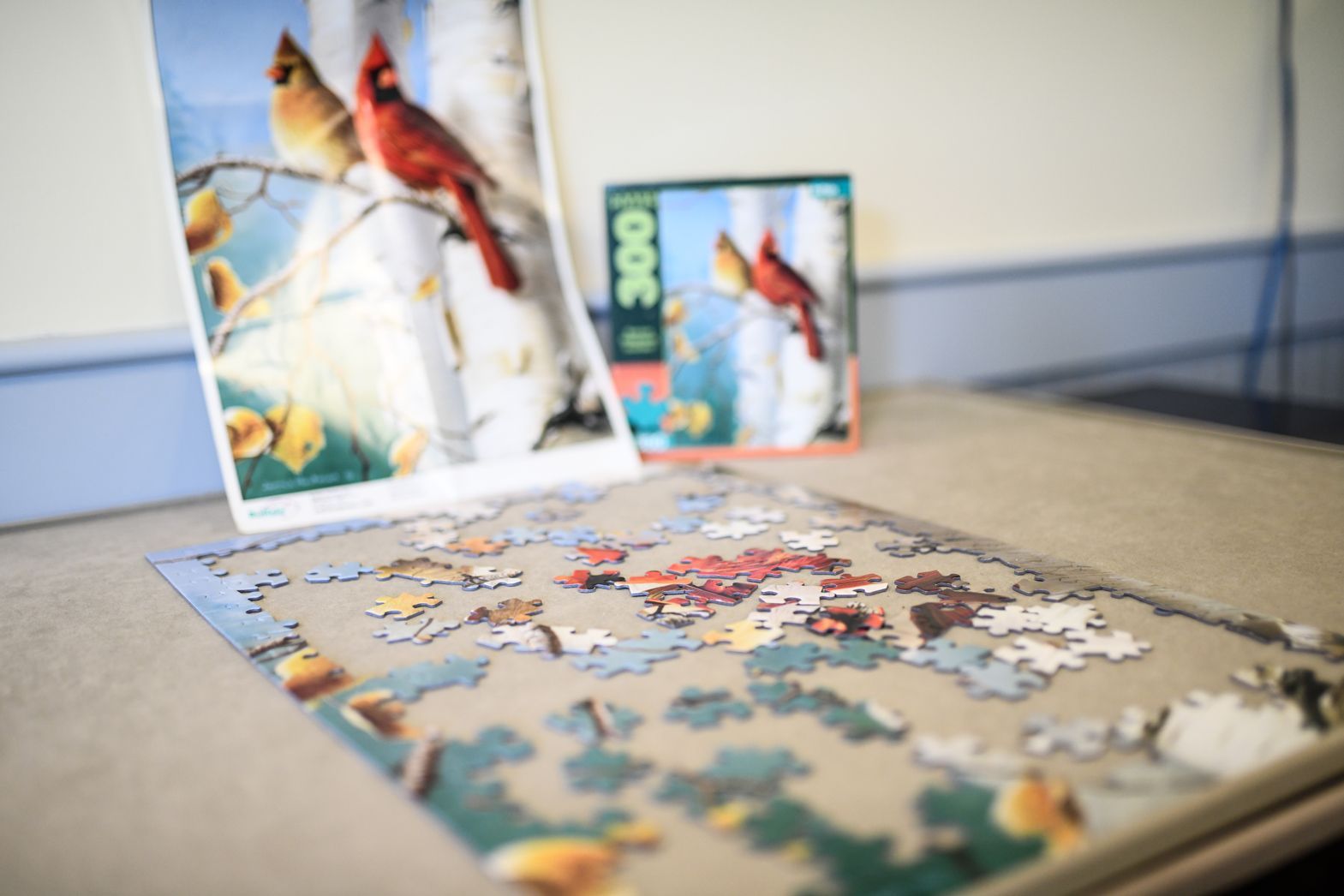 Colorful puzzle pieces arranged on a table inside Watson Assisted Living activity room