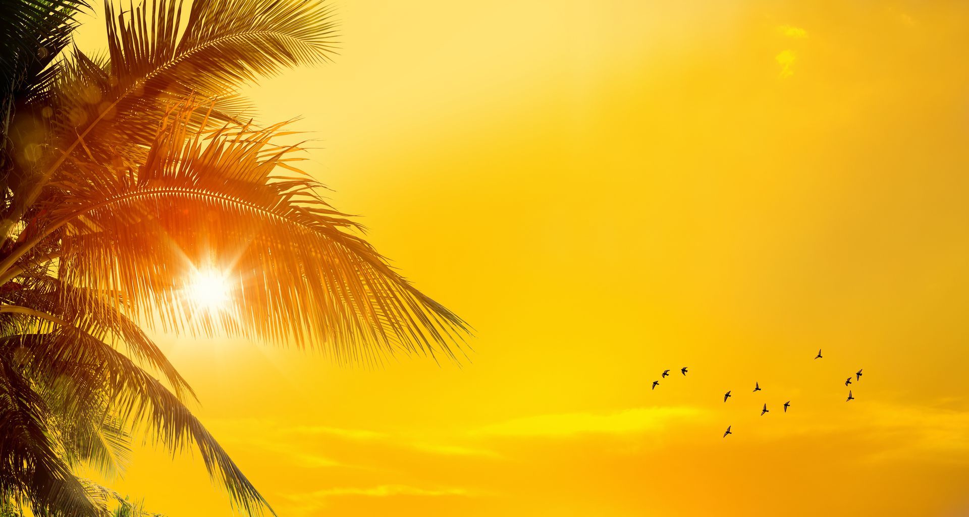 Tropical Florida sunset on the beach in Panama City.