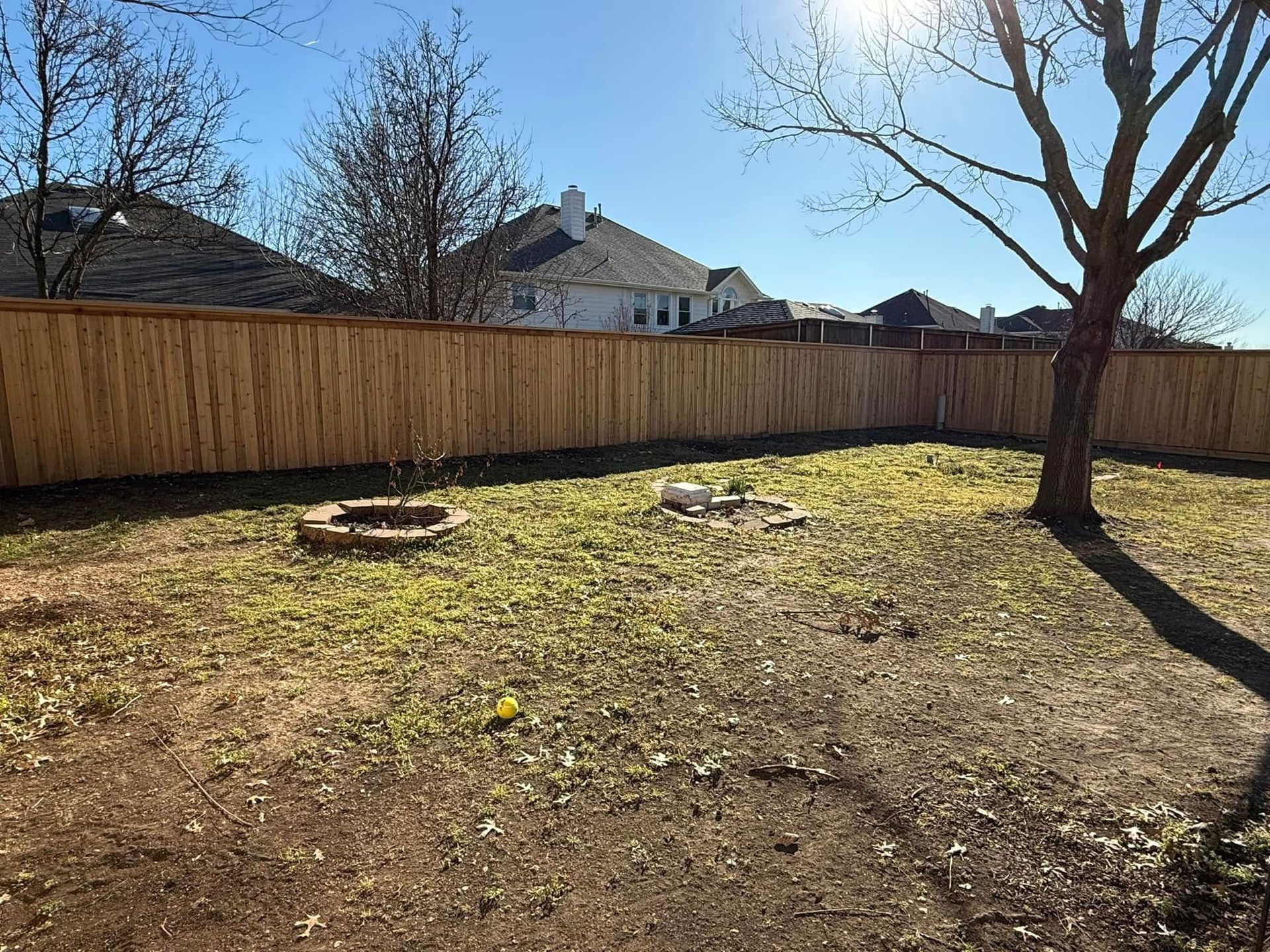 A backyard view with a wooden fence, dry grass, two small circular fire pits, and a large tree under a bright blue sky.