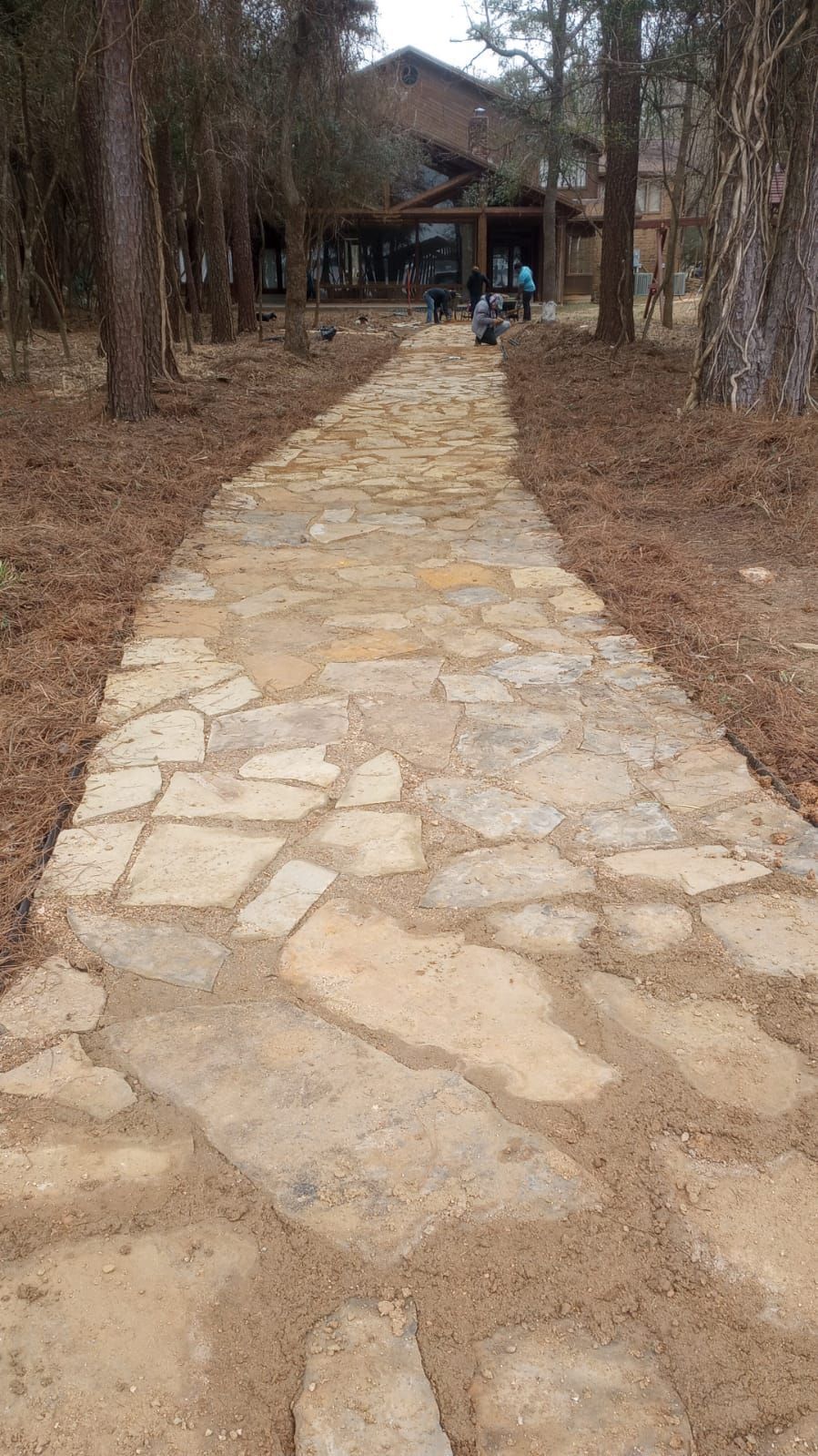 Stone path leading to a building with people outside. Trees flank the path, and it is a sunny day.