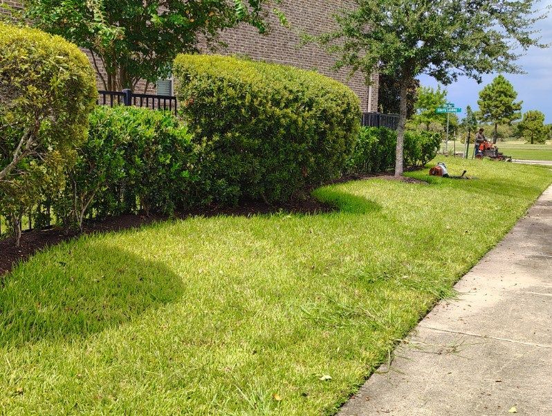 Lush green lawn with trimmed hedge bordering a sidewalk. A lawnmower in the distance.