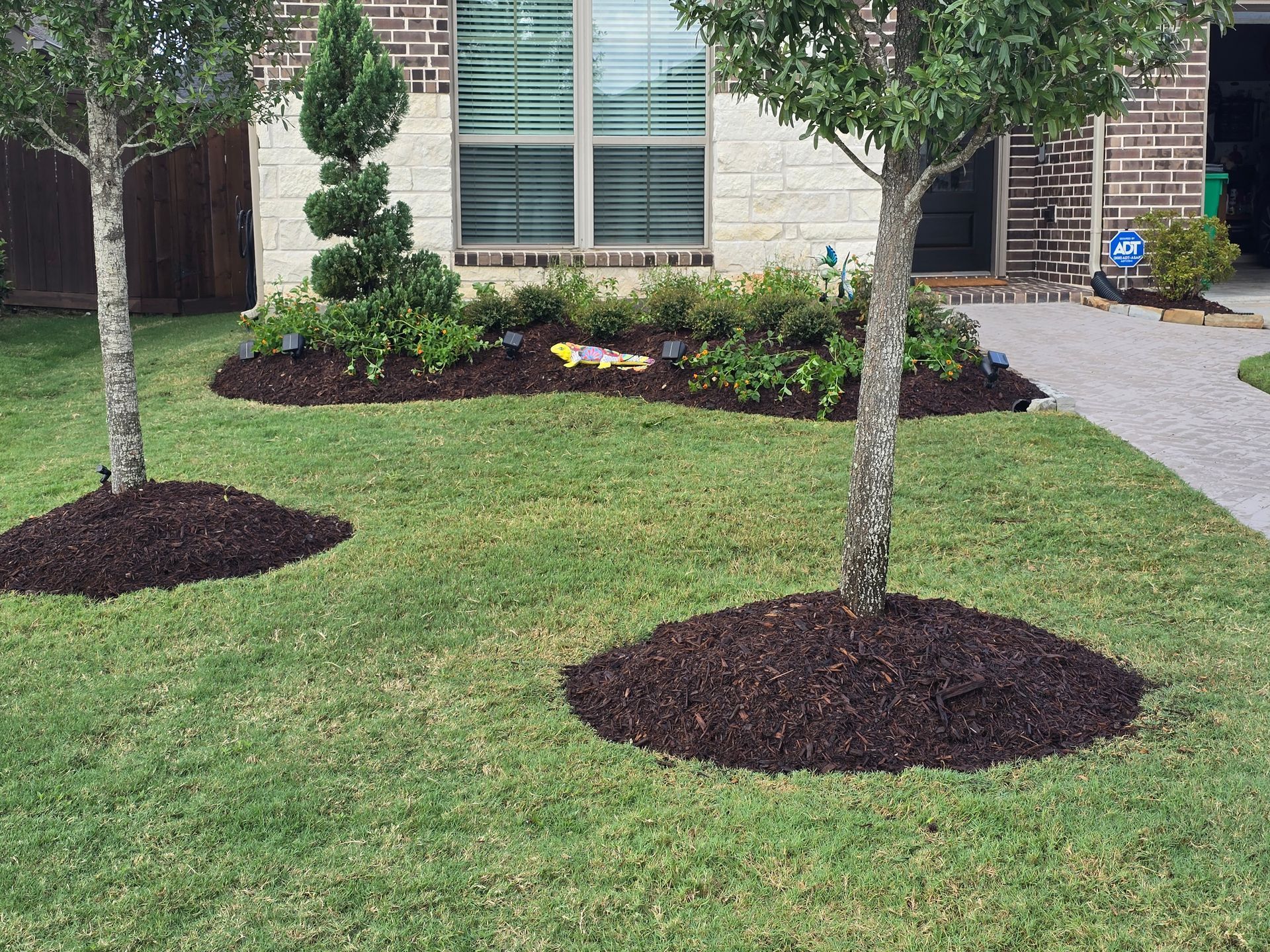 Lawn with two trees surrounded by mulch, shrubs, and house with brick exterior and walkway.