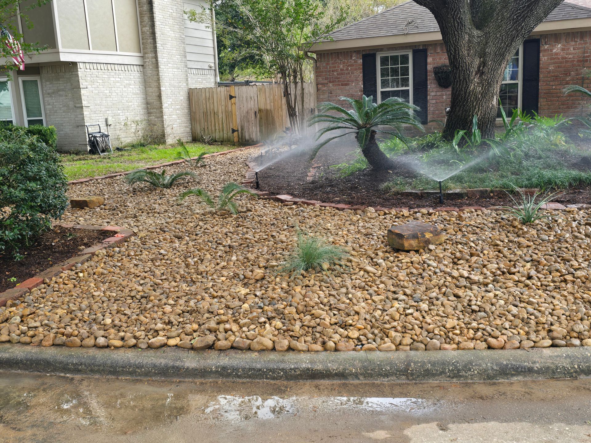 Sprinkler watering a rock-covered garden bed with small plants, in front of a house.