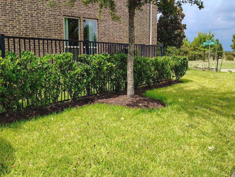 Green shrubs and lawn border a black fence next to a brick building and a tree.