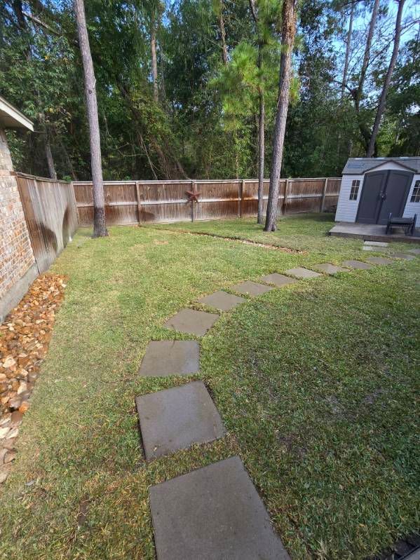 Backyard with a lawn, stepping stones, wooden fence, trees, and a shed.