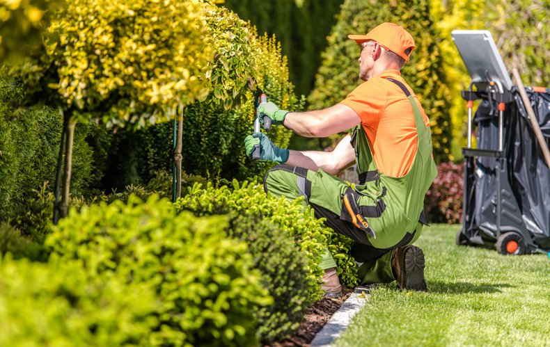 Gardener in orange and green attire trimming hedges in a manicured outdoor garden setting.