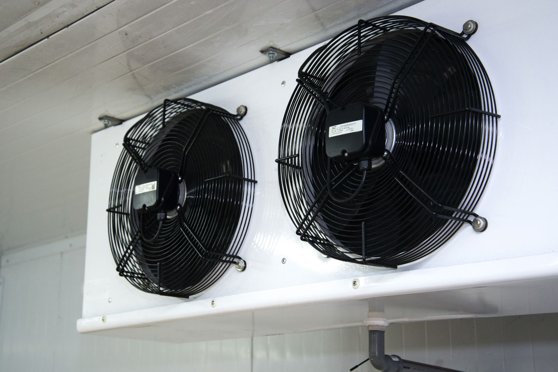 Two fans are hanging from the ceiling of a room
