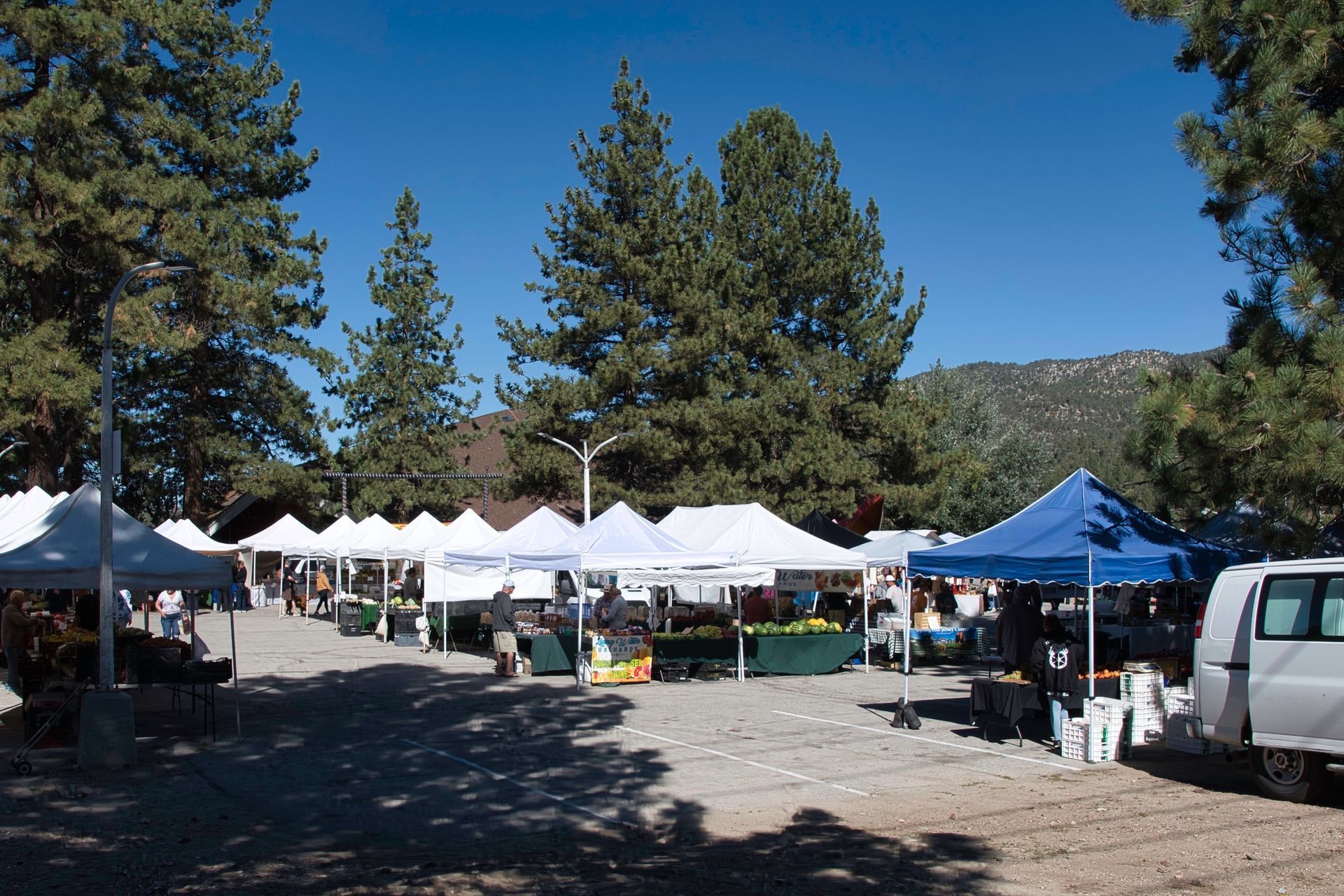 White tents are set up at the farmers market in Big Bear Lake