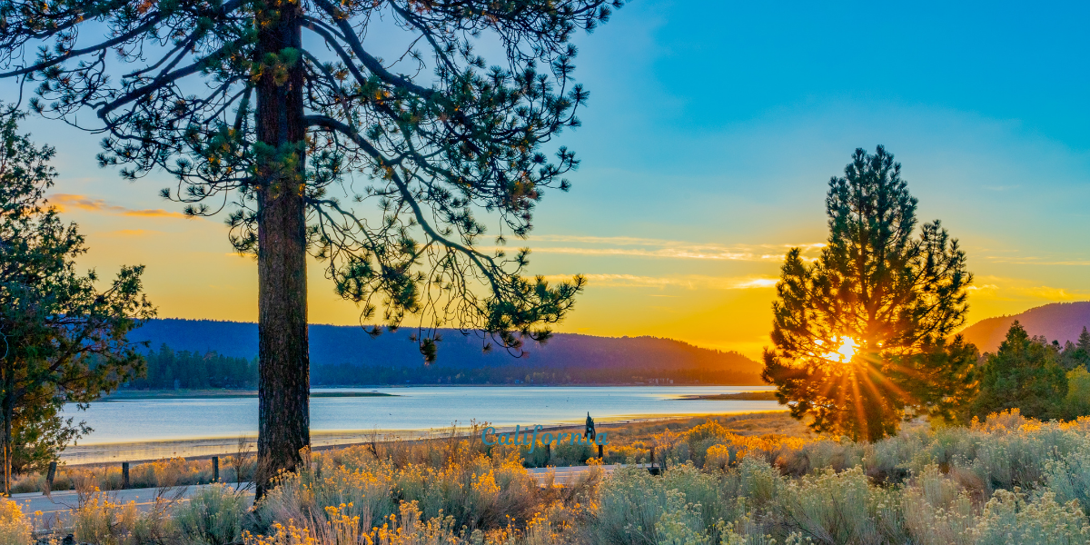 Sunset view from Alpine Pedal Path, with trees in the foreground and mountains in the background, yellow and blue sky.