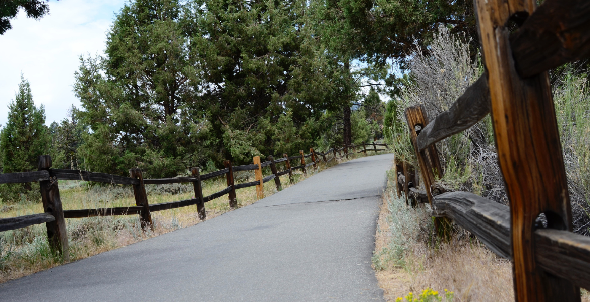 Paved Alpine Pedal Path, wooden fences on either side. Green trees and dry vegetation.