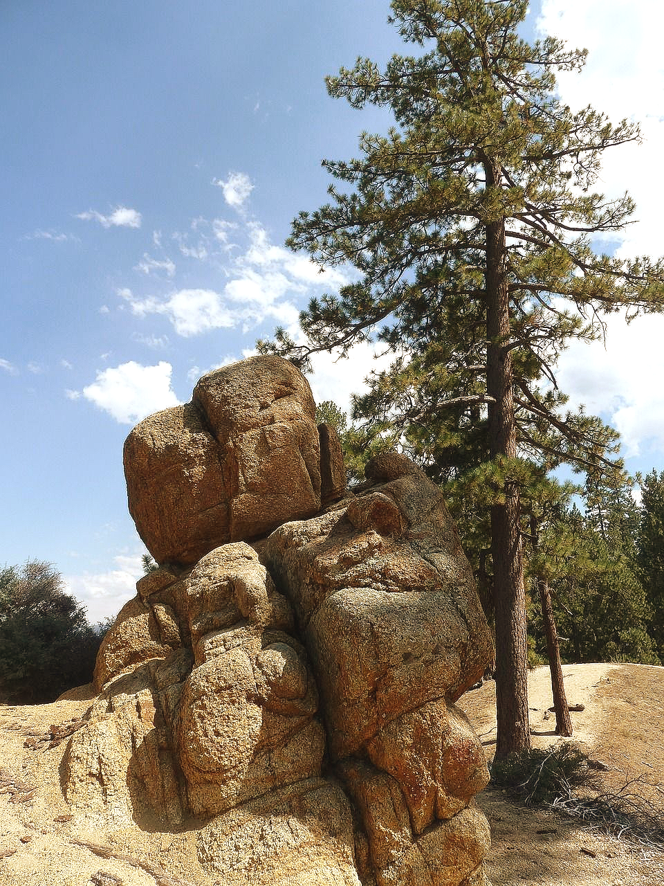 Large rock formation with a tall evergreen tree under a partly cloudy sky.