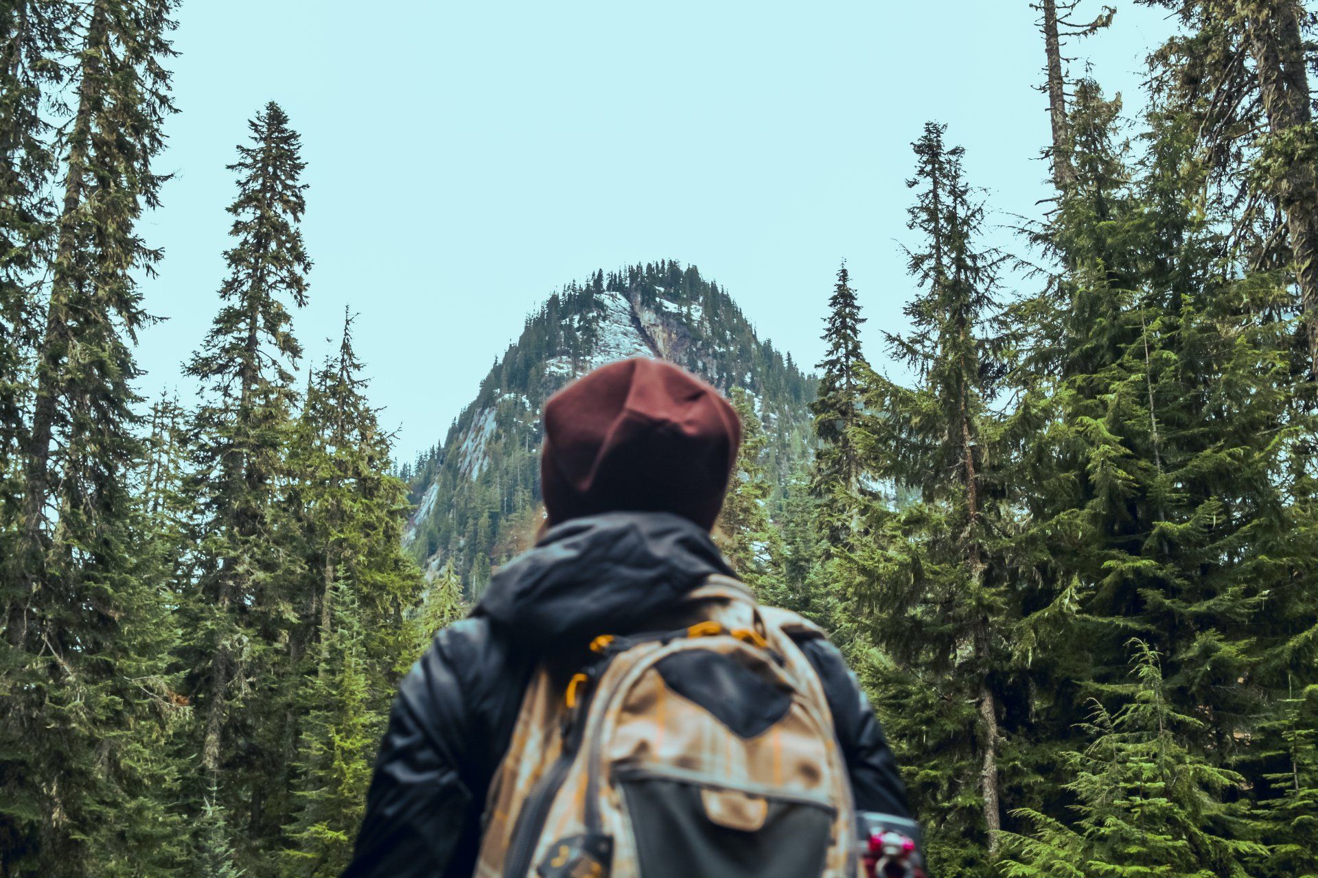 A person with a backpack is walking through a forest.