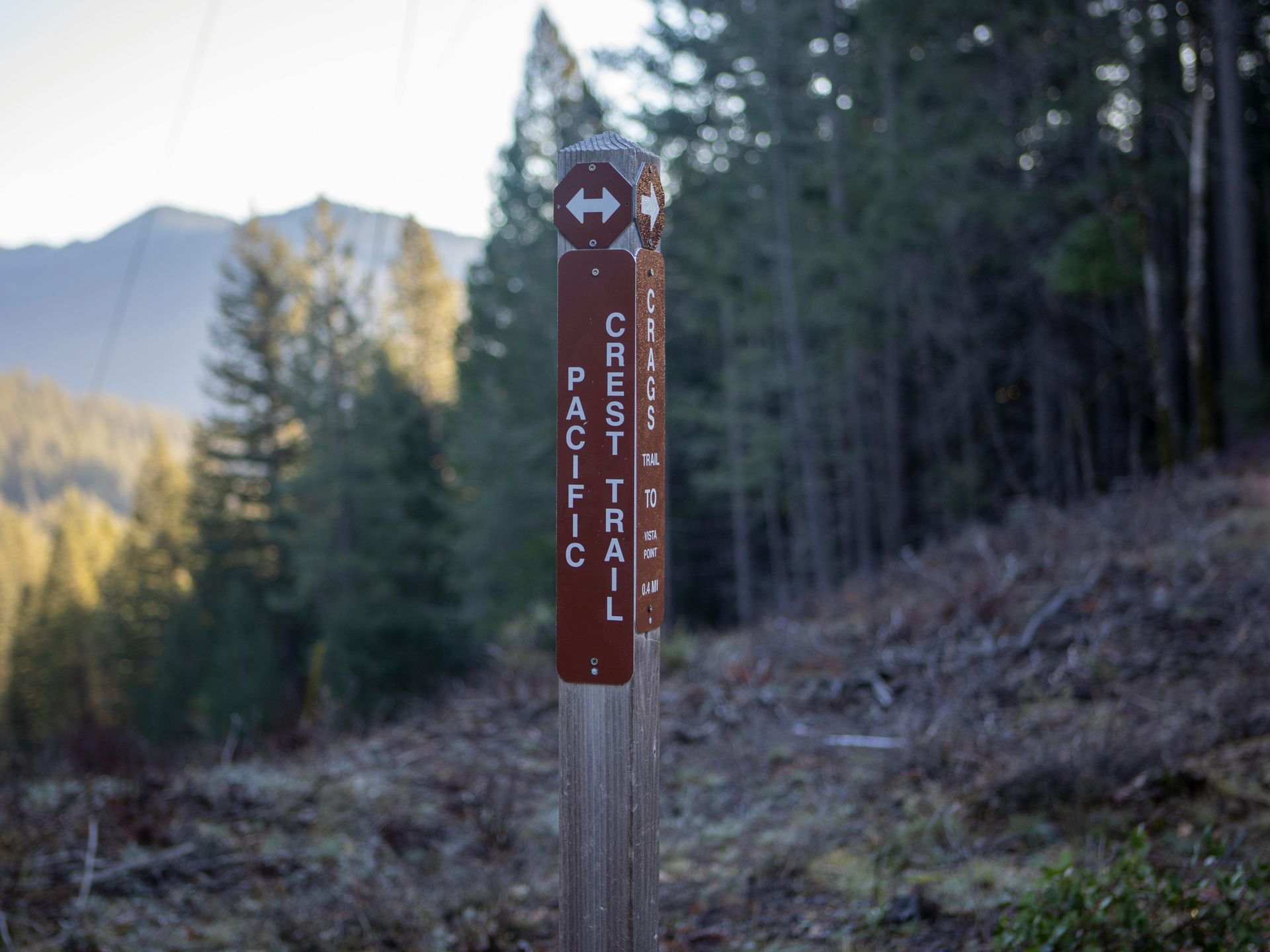 Hiking Trails