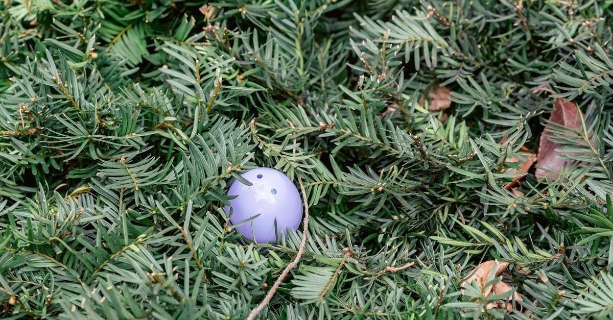 A purple Easter Egg is sitting in the middle of a bush.