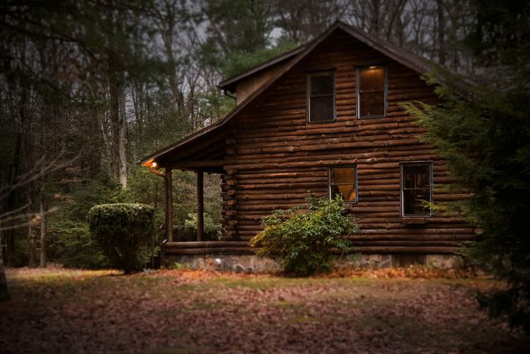Rustic two-story log cabin nestled in a forest. It has a porch, windows, and surrounding foliage. Brown hues dominate.