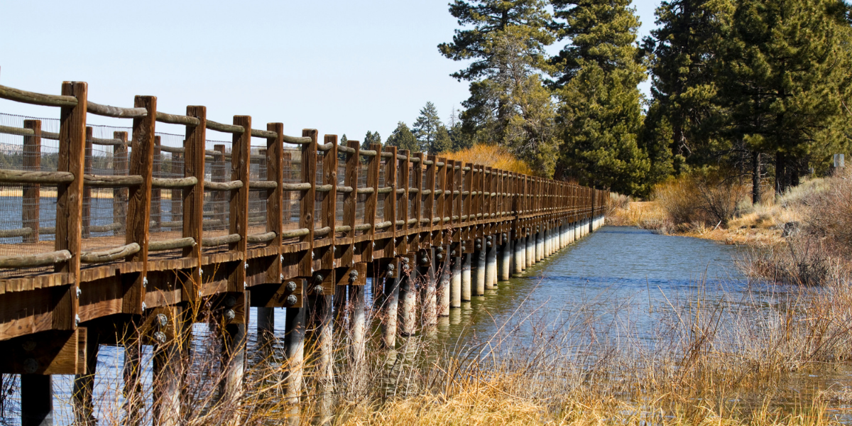 Wooden bridge over a calm waterway, bordered by trees and dry grasses under a clear sky.