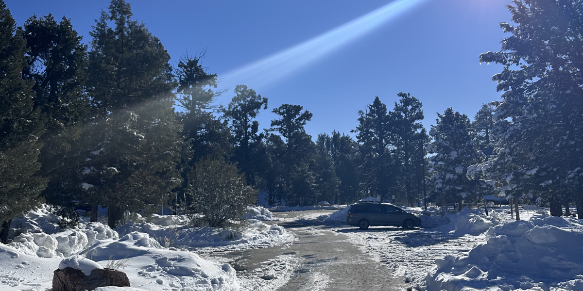A snowy road leads through a forest on a bright, sunny day. A vehicle is parked in the distance.