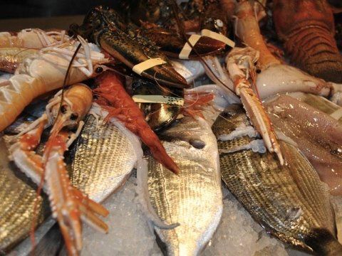 Ristorante Di Pesce A Bari La Vela Dal 1980