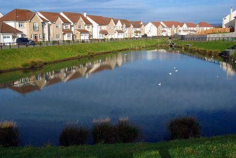 A house in Larbert