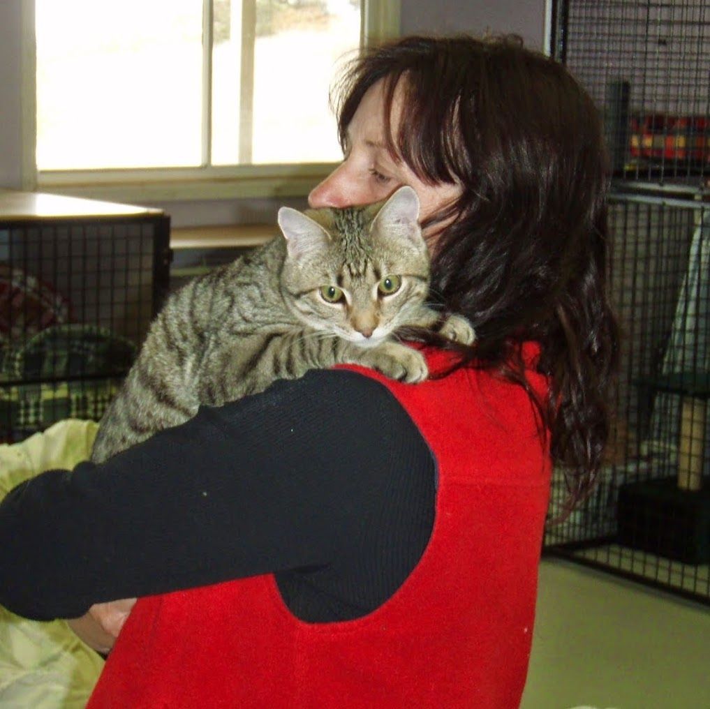 A Woman In A Red Vest Is Holding A Cat — Pussycat Park In Dubbo, NSW