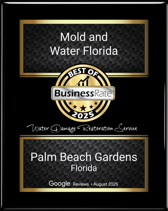 A black and white photo of a roof with a chimney on it.