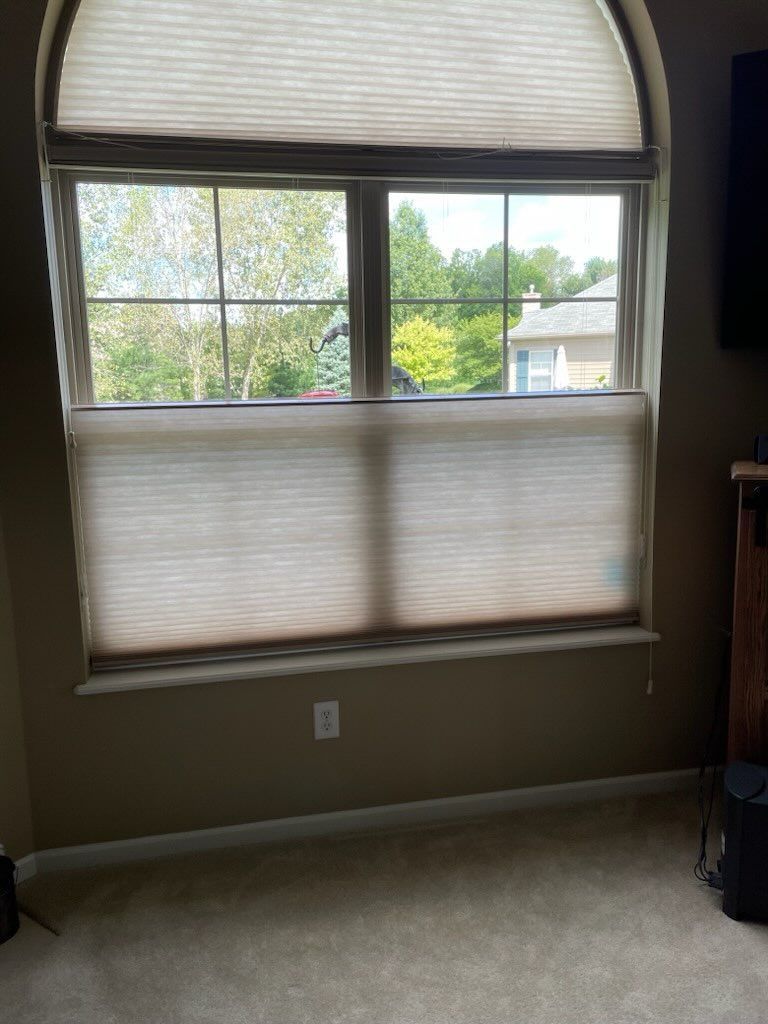 Window with arched top, beige blinds, and view of trees outside.