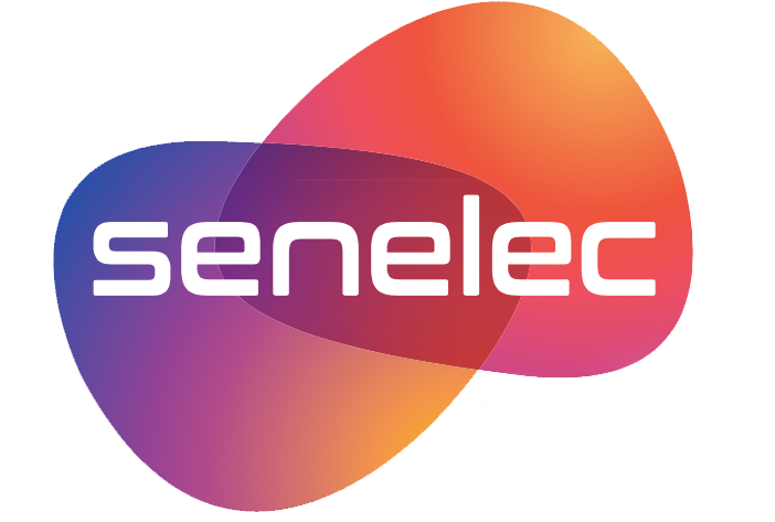 Un logo coloré pour senelec avec un cercle blanc au milieu