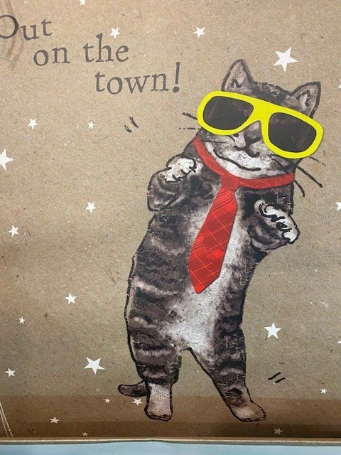 A cat wearing sunglasses and a red tie says out on the town
