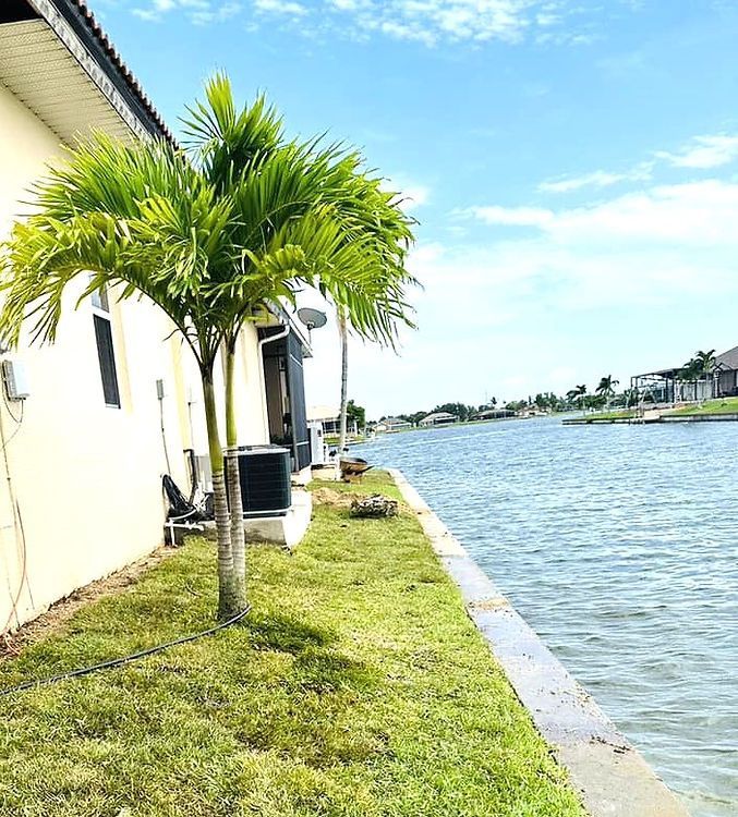 Palm tree beside a light-colored building and a canal with houses on the opposite side under a bright blue sky.
