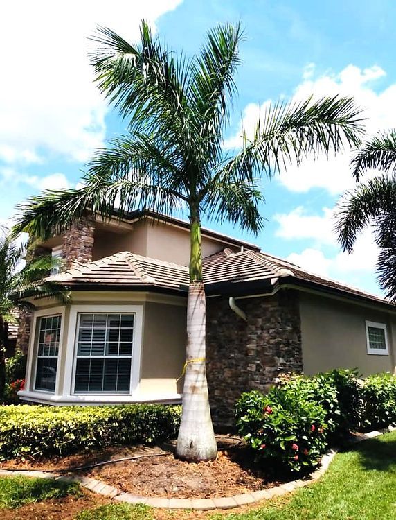 Palm tree in front of a house with tan siding, a stone facade, and a bright blue sky with clouds.