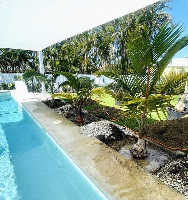 A pool with palm trees planted along its edge, under a white structure. The trees have green fronds, and the water is blue.