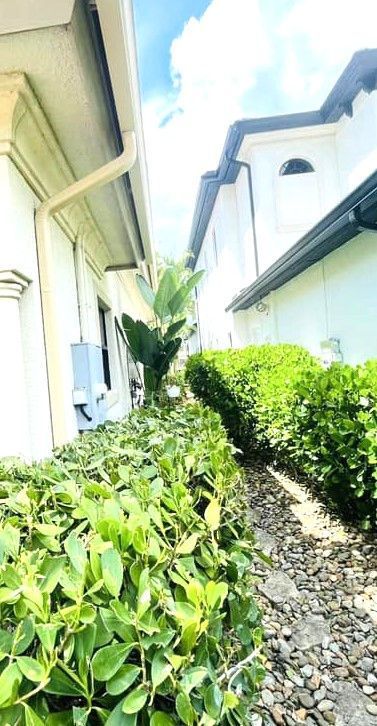 A narrow, gravel path between two white buildings lined with green bushes. A tall plant grows in the center.