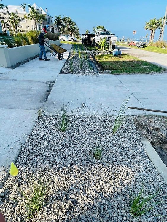 Workers plant greenery along a concrete walkway next to a road.