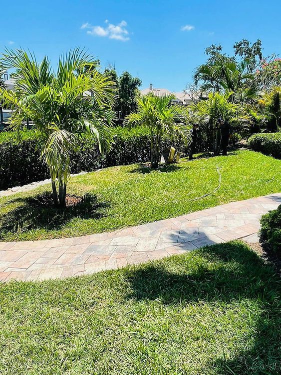 Path through a lush, green lawn with palm trees under a bright blue sky. Bushes and houses are visible in the background.