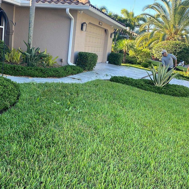Lawn being mowed in front of a house with beige exterior and palm trees. A man in a hat operates the lawnmower.
