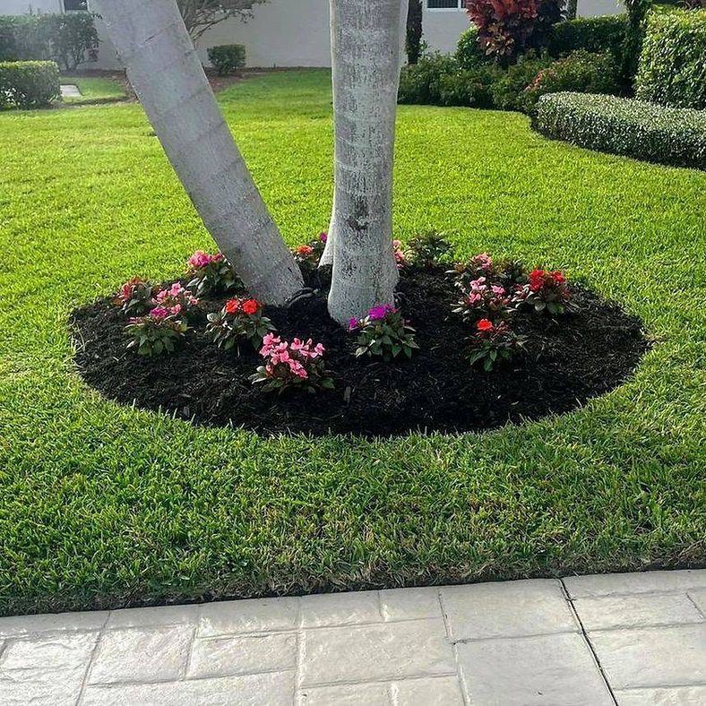 Lush green lawn with a tree trunk surrounded by dark mulch and colorful flowers. White sidewalk borders the lawn.