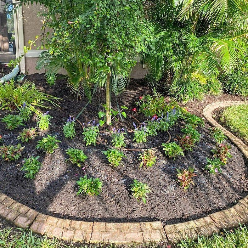 Flower bed with brown mulch and brick border, featuring various green and flowering plants in front of a building.