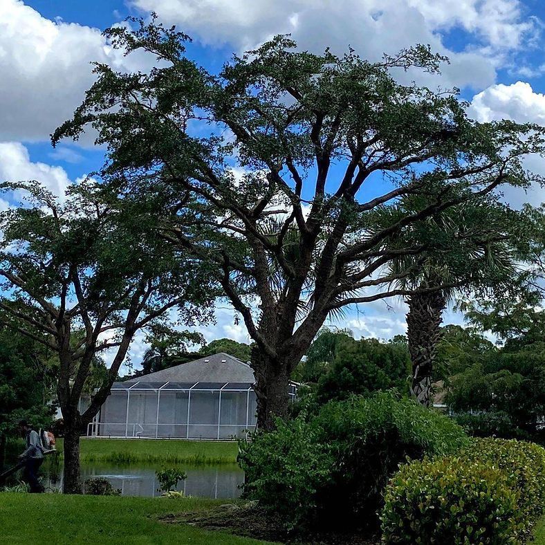 Lush trees frame a pond and a house with a screened-in porch, under a partly cloudy sky.