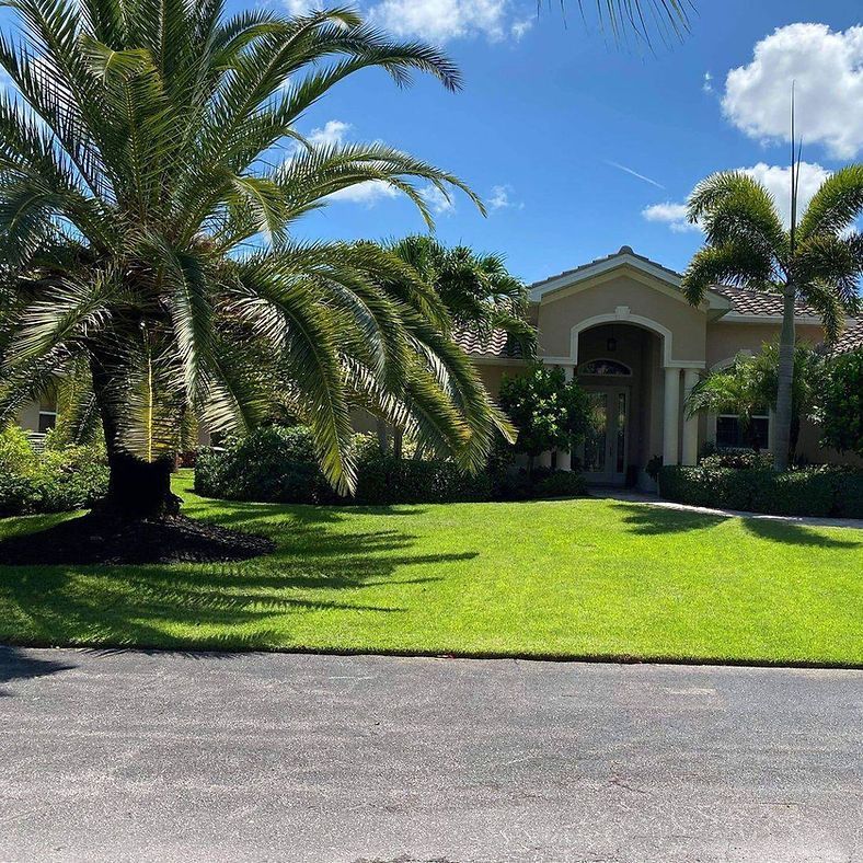 A well-manicured lawn and palm trees frame a beige house with a dark roof under a blue sky.
