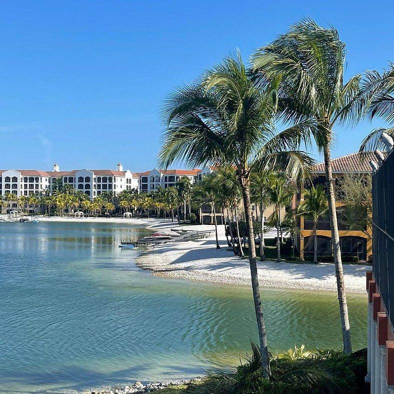 Lush waterfront scene with white sand beach, palm trees, and buildings under a clear blue sky.