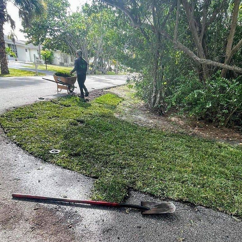 A person installs sod along a road, using a wheelbarrow. A shovel lays on the ground next to the grass.