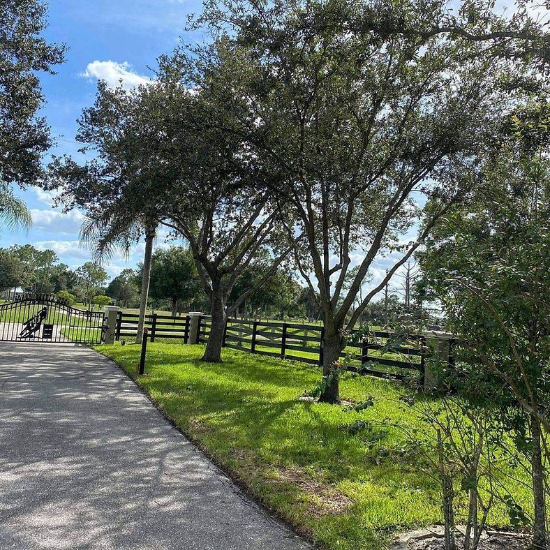 A tree-lined grassy area with a black fence, a paved path, and a partially visible gate under a bright blue sky.