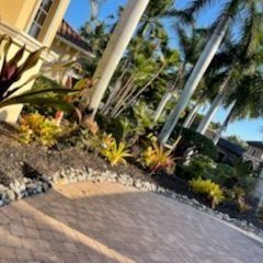 Brick driveway with landscaping, including palm trees, plants, and rocks. Sunlight illuminates the scene.